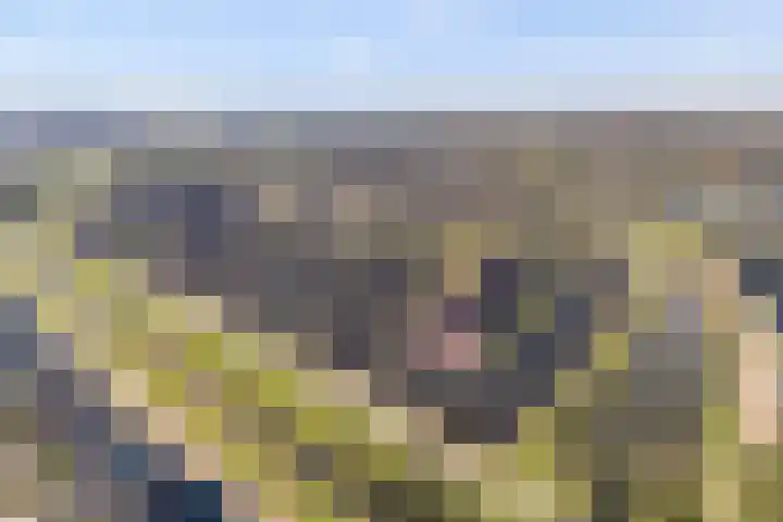 Van Coeverdenstraat 33 Hardenberg thumbnail 5
