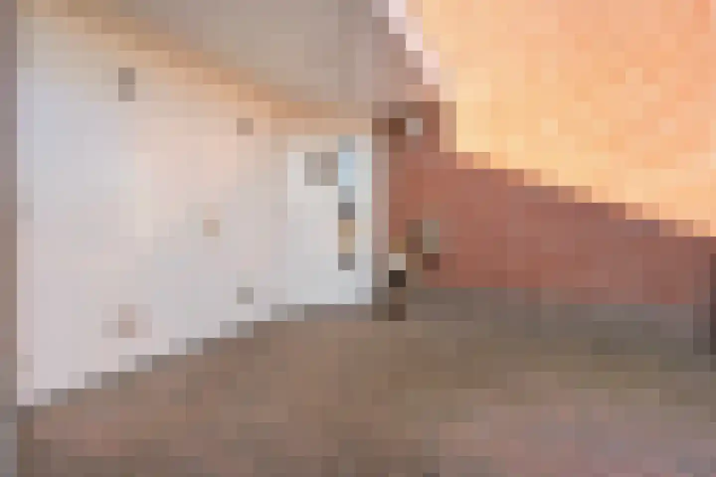 Van Coeverdenstraat 33 Hardenberg thumbnail 6