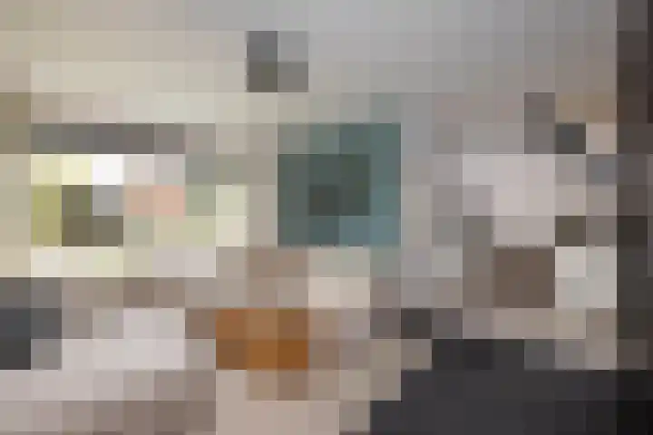 Van Coeverdenstraat 5 Borne thumbnail 14
