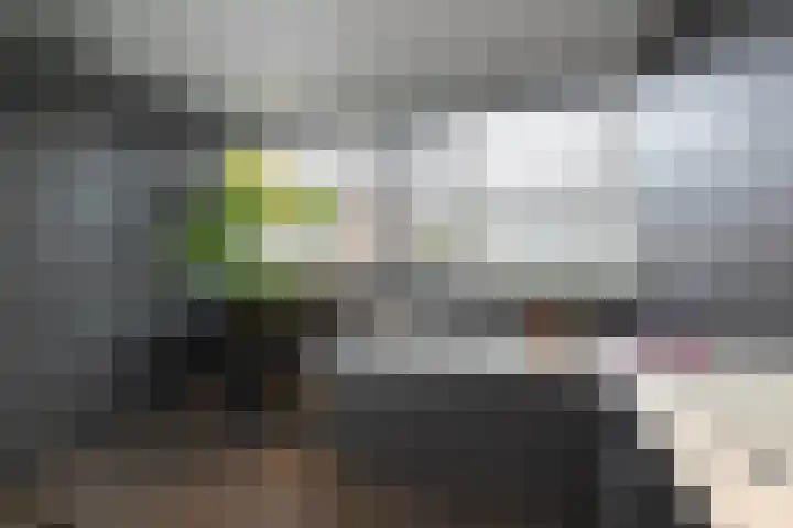 Van Coeverdenstraat 5 Borne thumbnail 20