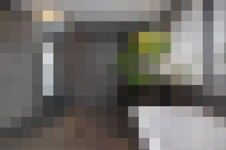 Van Coeverdenstraat 5 Borne thumbnail 21