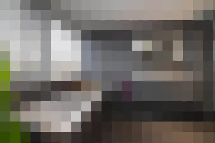 Van Coeverdenstraat 5 Borne thumbnail 22