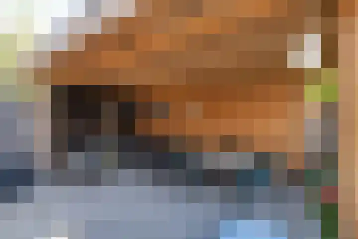 Van Coeverdenstraat 5 Borne thumbnail 35