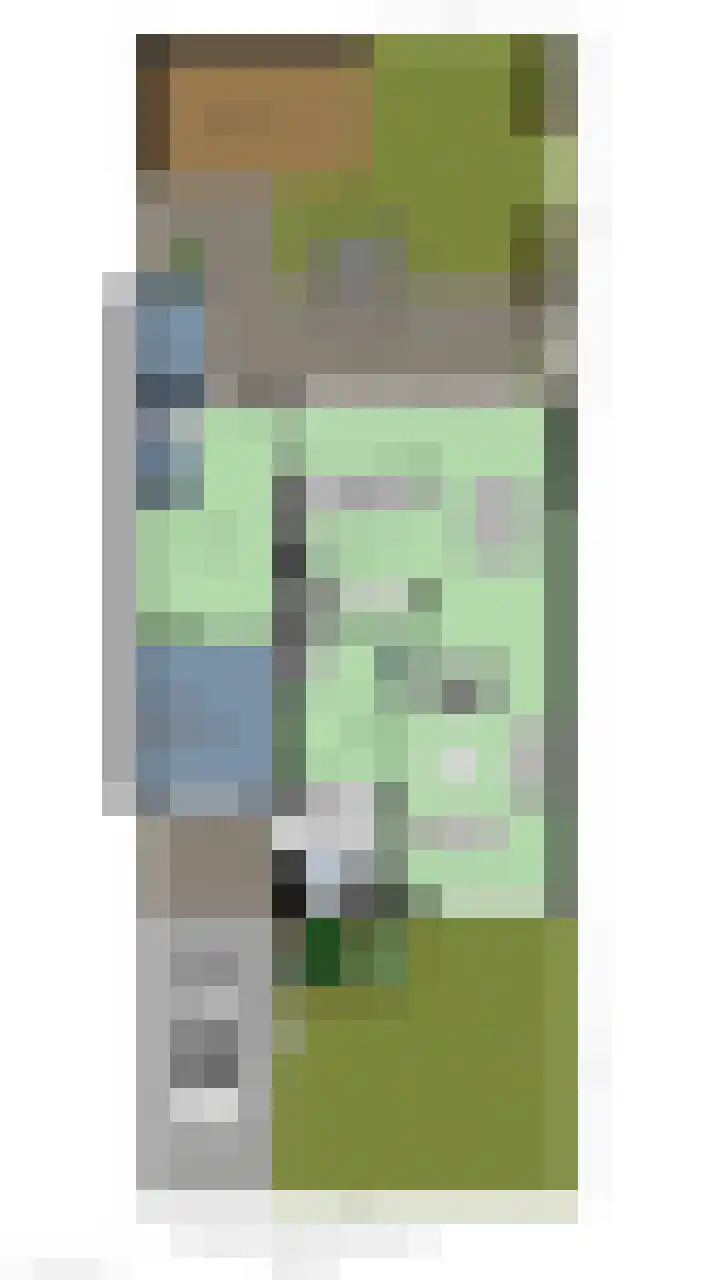 Van Coeverdenstraat 5 Borne thumbnail 46