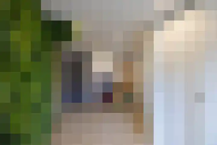 Van Coeverdenstraat 5 Borne thumbnail 7
