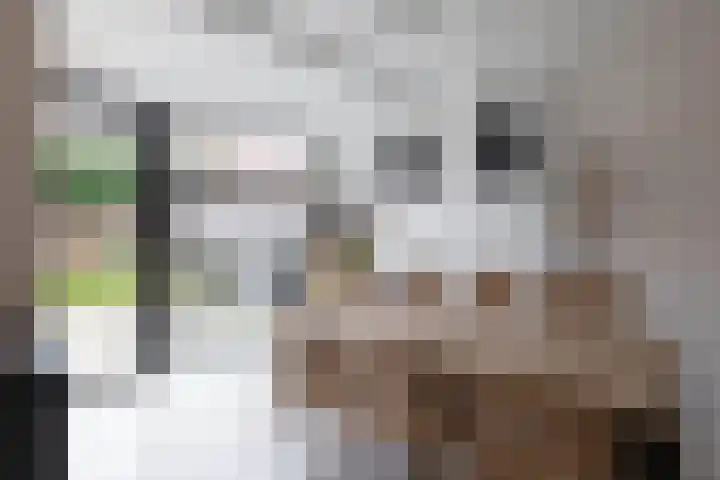 Van Coeverdenstraat 5 Borne thumbnail 9