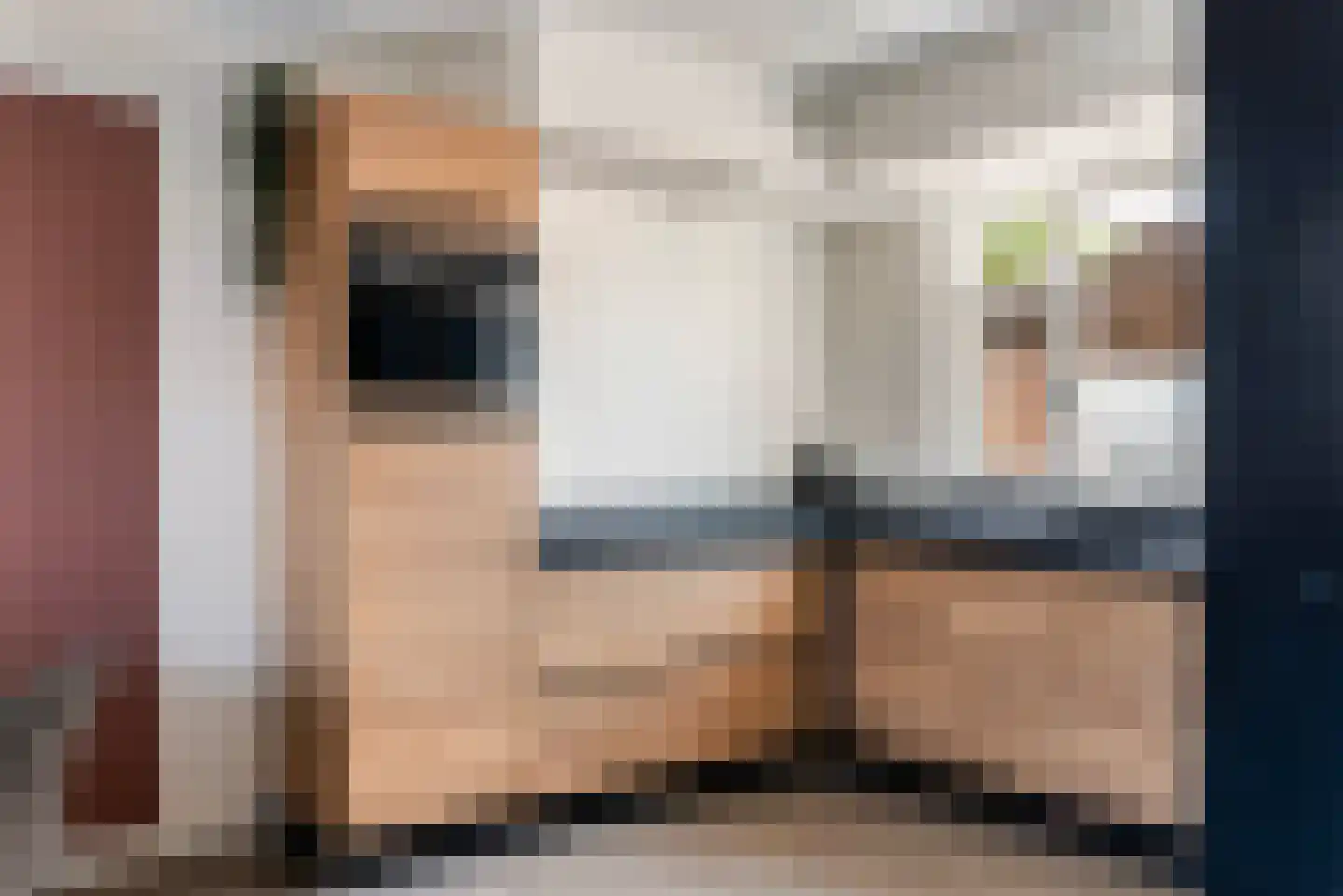 van Coeverdenstraat 5 Goor thumbnail 17