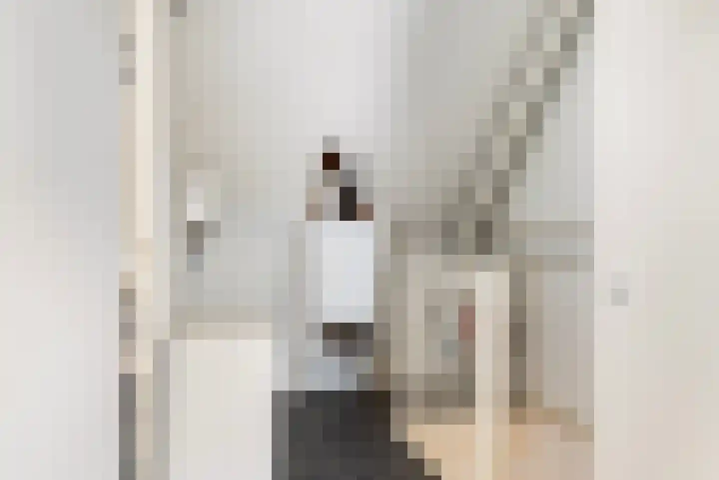 van Coeverdenstraat 5 Goor thumbnail 29