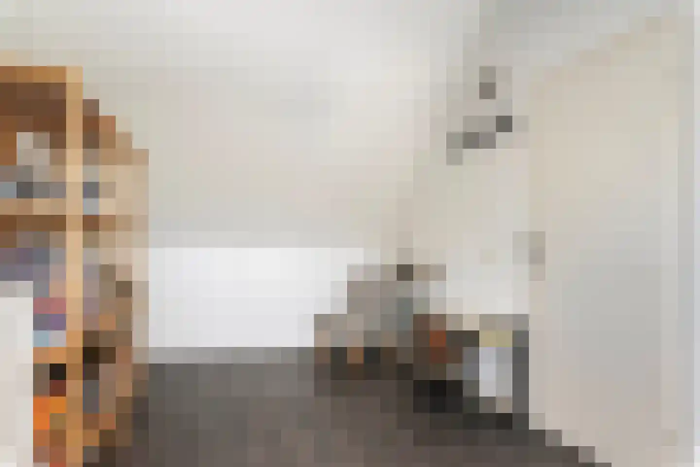 van Coeverdenstraat 5 Goor thumbnail 31