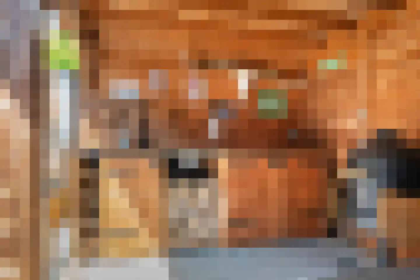 van Coeverdenstraat 5 Goor thumbnail 33