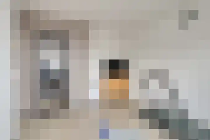 van Coeverdenstraat 6 Borculo thumbnail 18