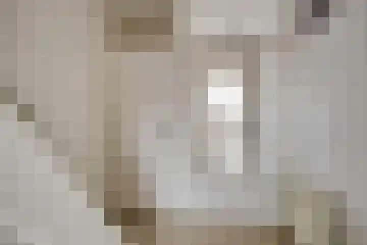 van Coeverdenstraat 6 Borculo thumbnail 4