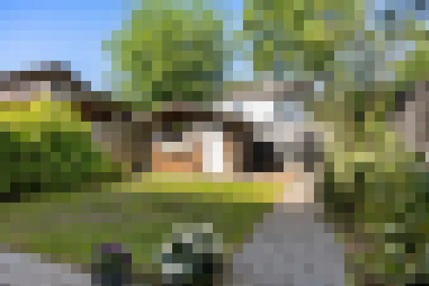 Van Coevordenstraat 45 Emmen thumbnail 37