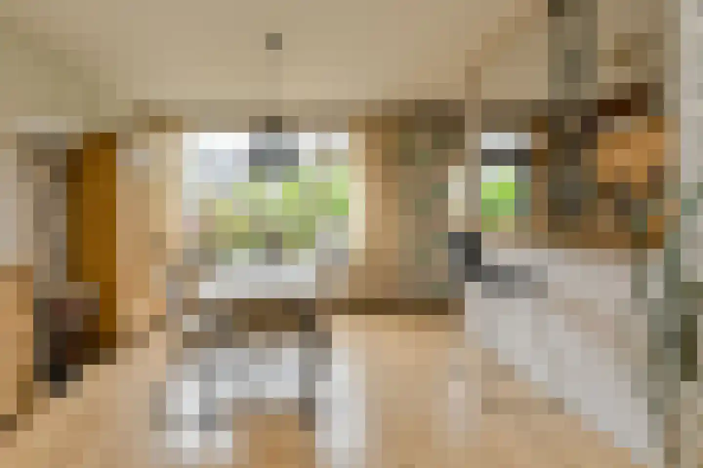 van Colsterstraat 16 Geertruidenberg thumbnail 10