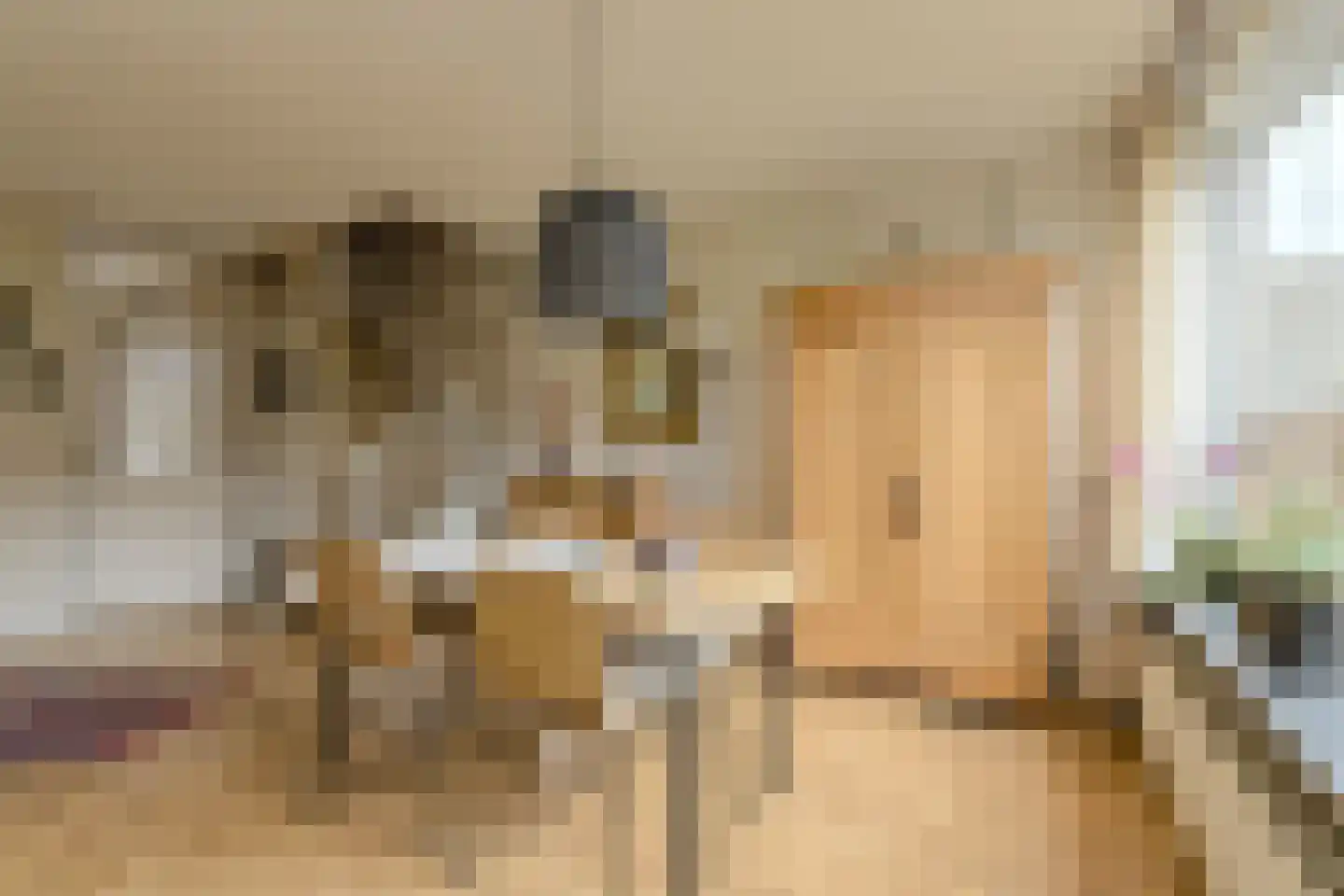 van Colsterstraat 16 Geertruidenberg thumbnail 15