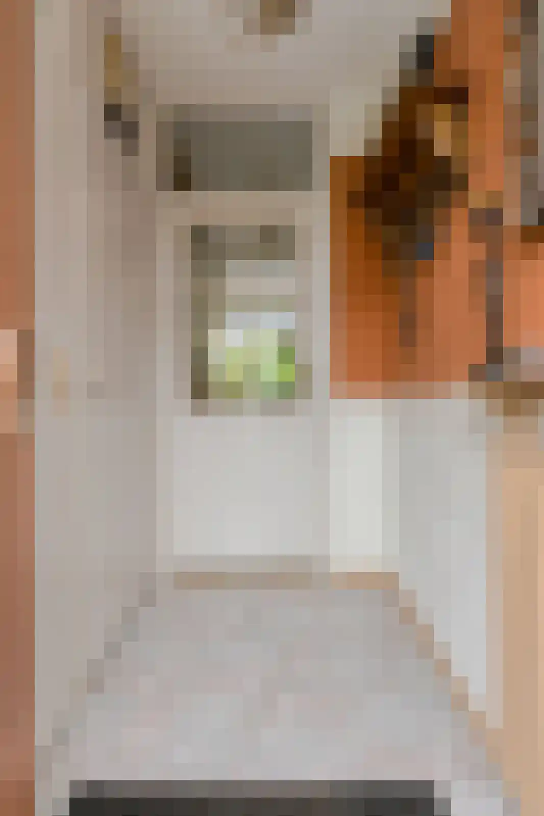 van Colsterstraat 16 Geertruidenberg thumbnail 22