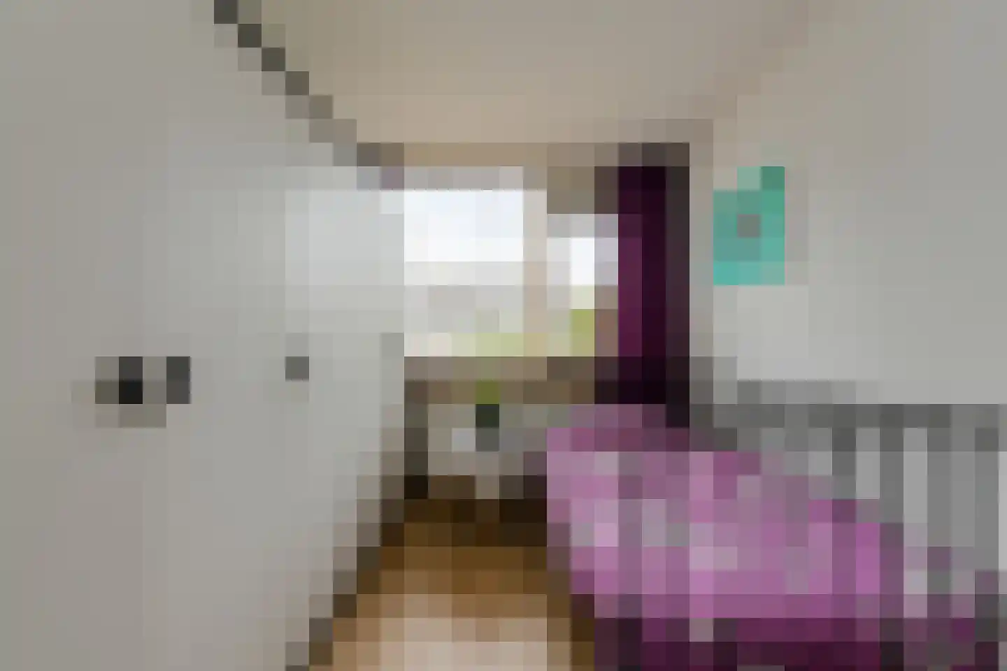 van Colsterstraat 16 Geertruidenberg thumbnail 32