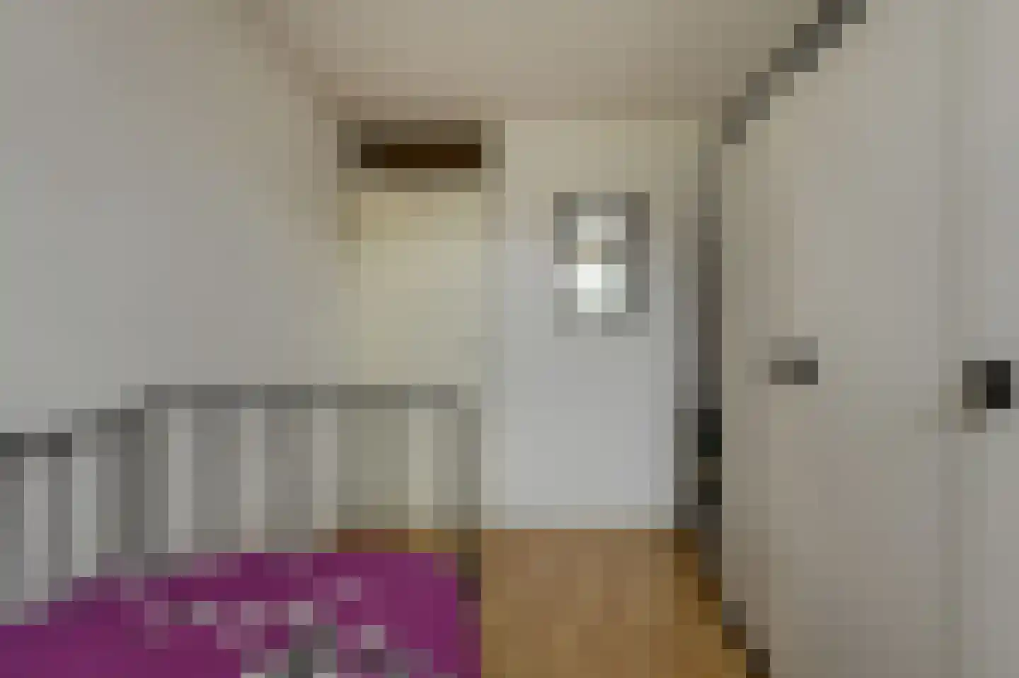 van Colsterstraat 16 Geertruidenberg thumbnail 33