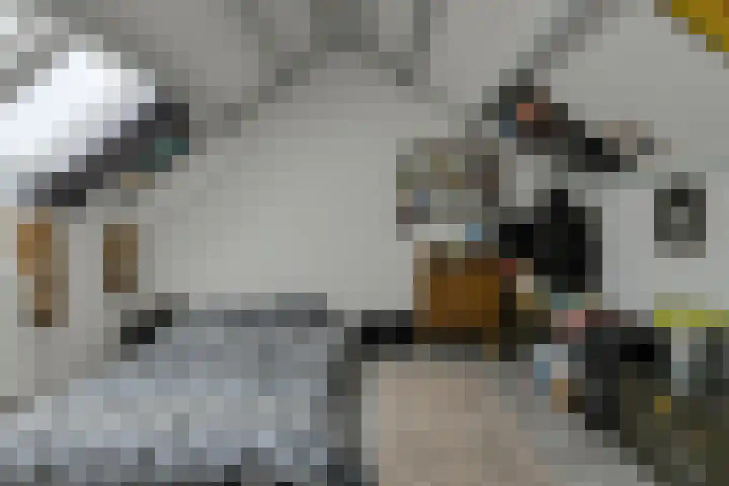 van Colsterstraat 16 Geertruidenberg thumbnail 35