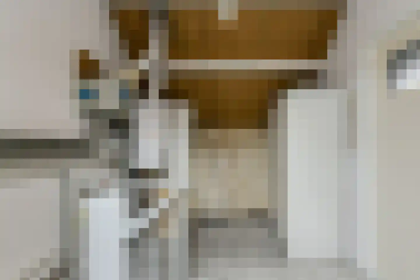 van Colsterstraat 16 Geertruidenberg thumbnail 38