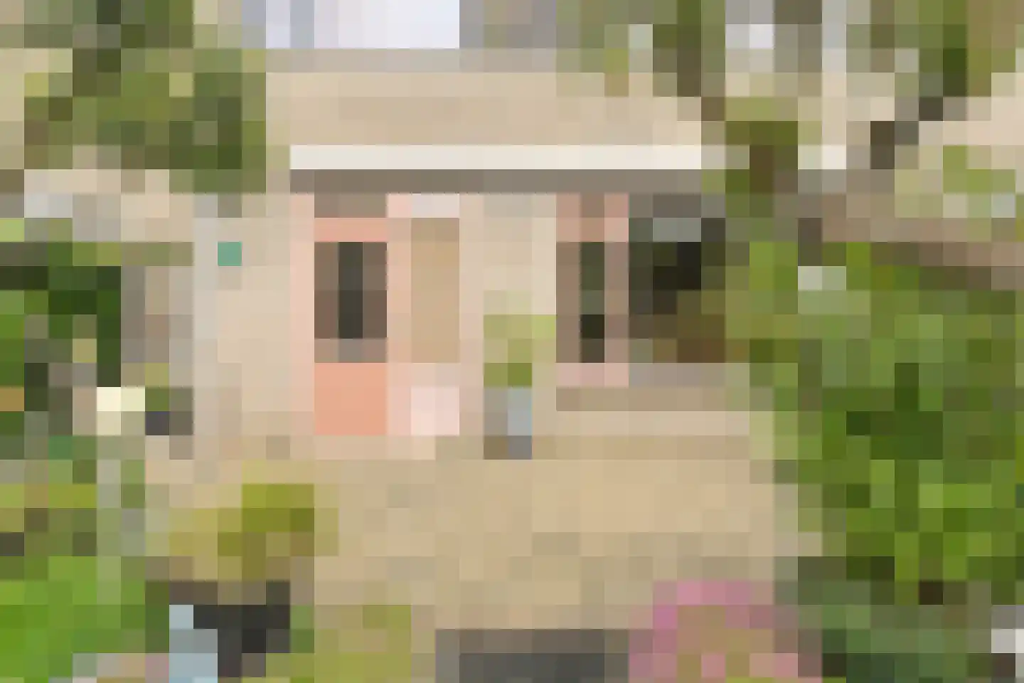 van Colsterstraat 16 Geertruidenberg thumbnail 45