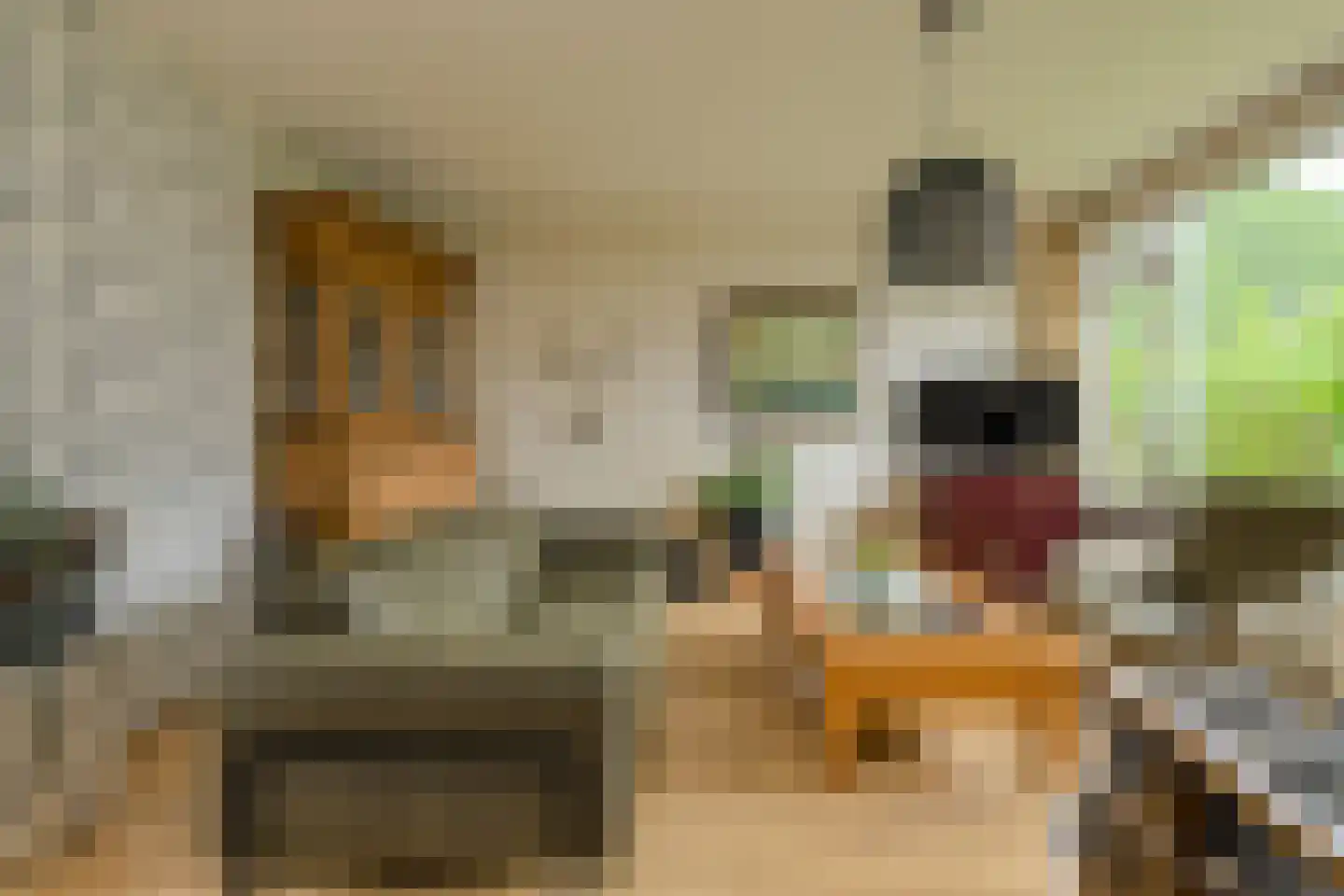 van Colsterstraat 16 Geertruidenberg thumbnail 5