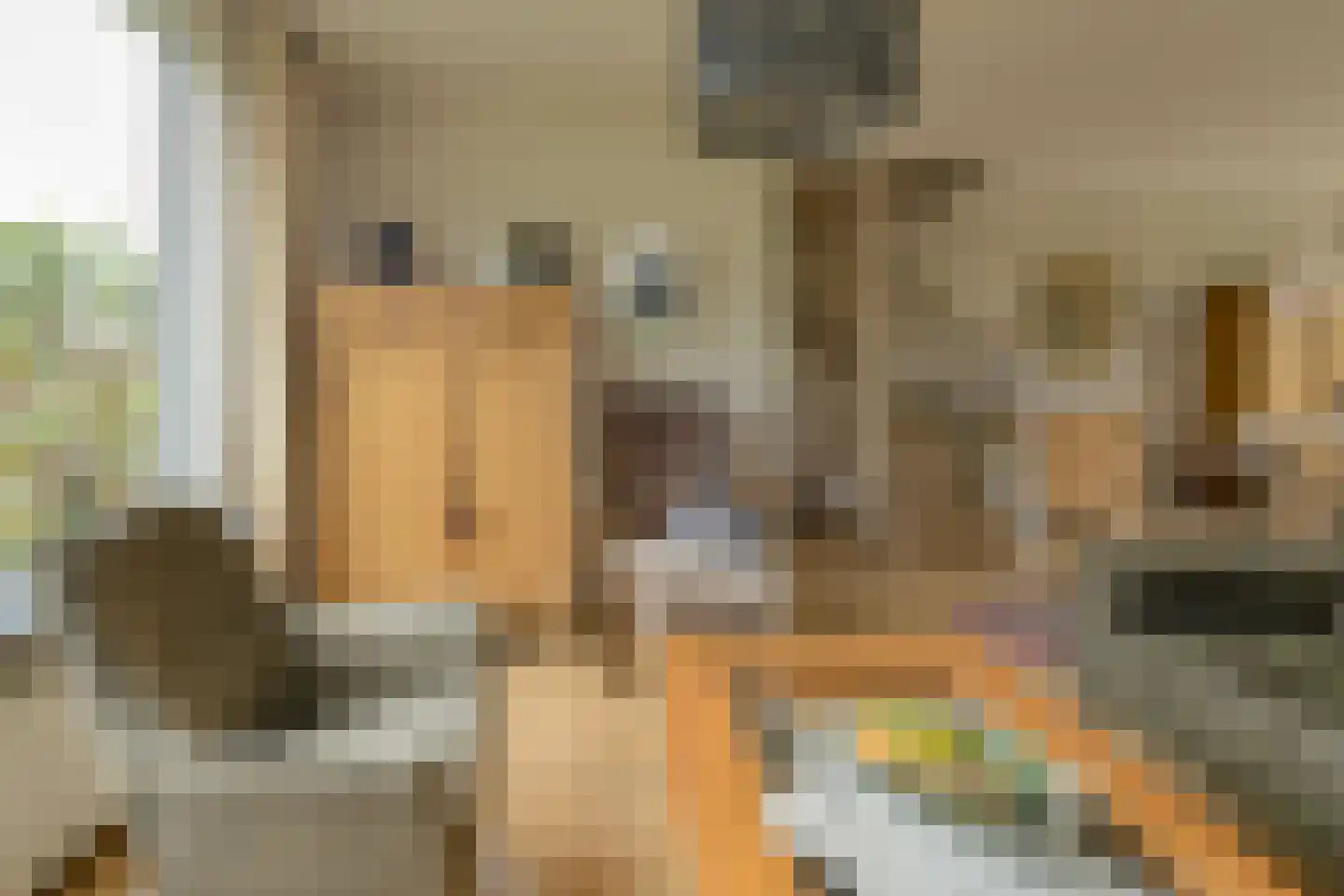 van Colsterstraat 16 Geertruidenberg thumbnail 6