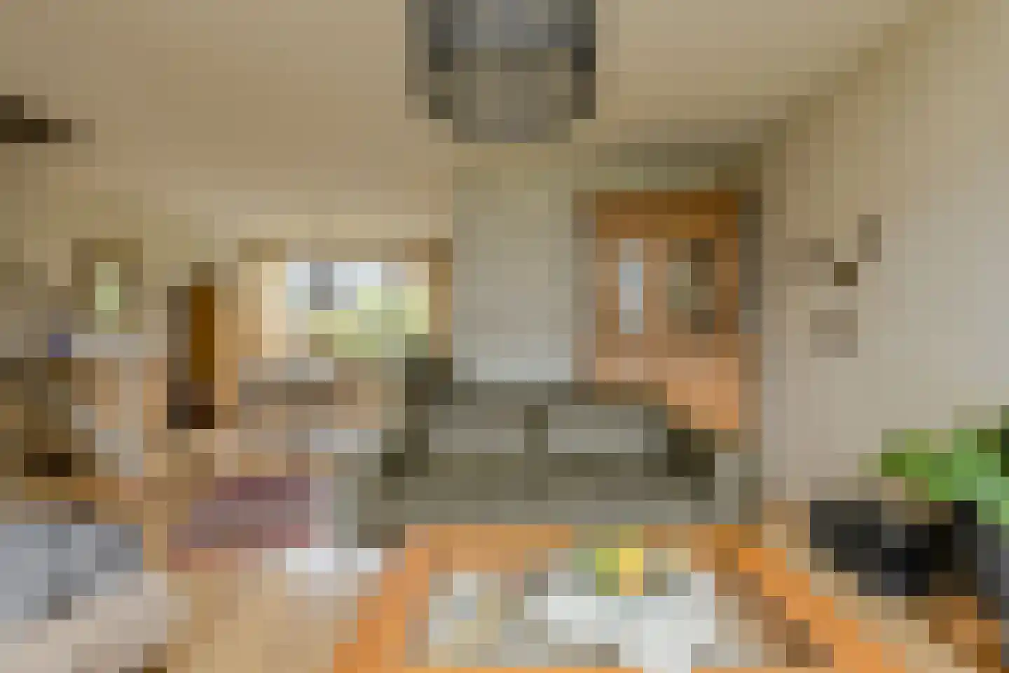 van Colsterstraat 16 Geertruidenberg thumbnail 7