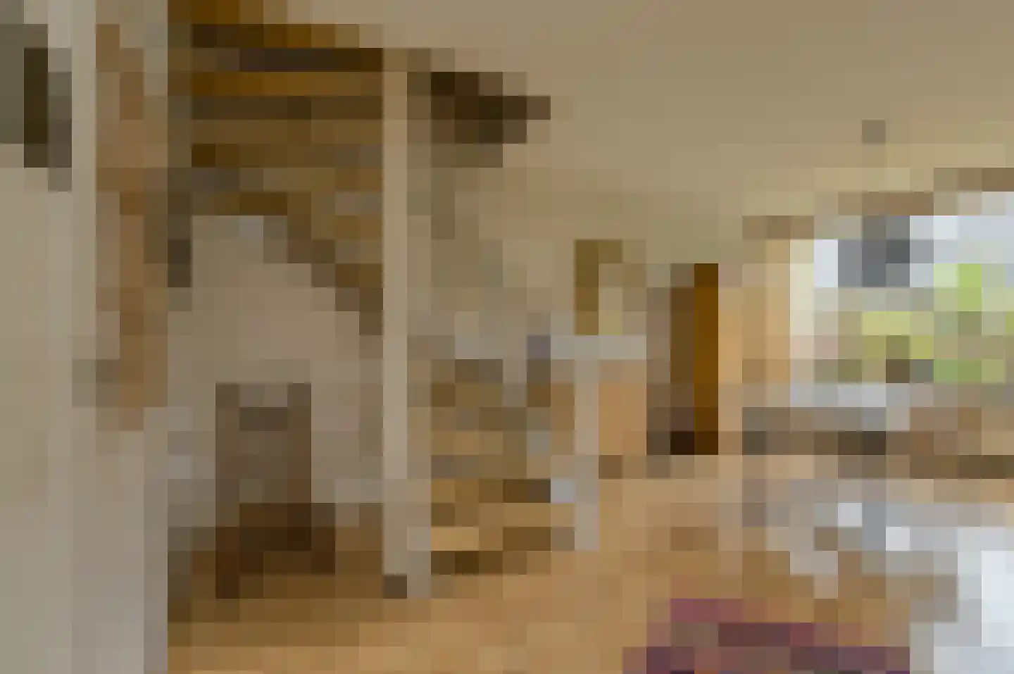 van Colsterstraat 16 Geertruidenberg thumbnail 8