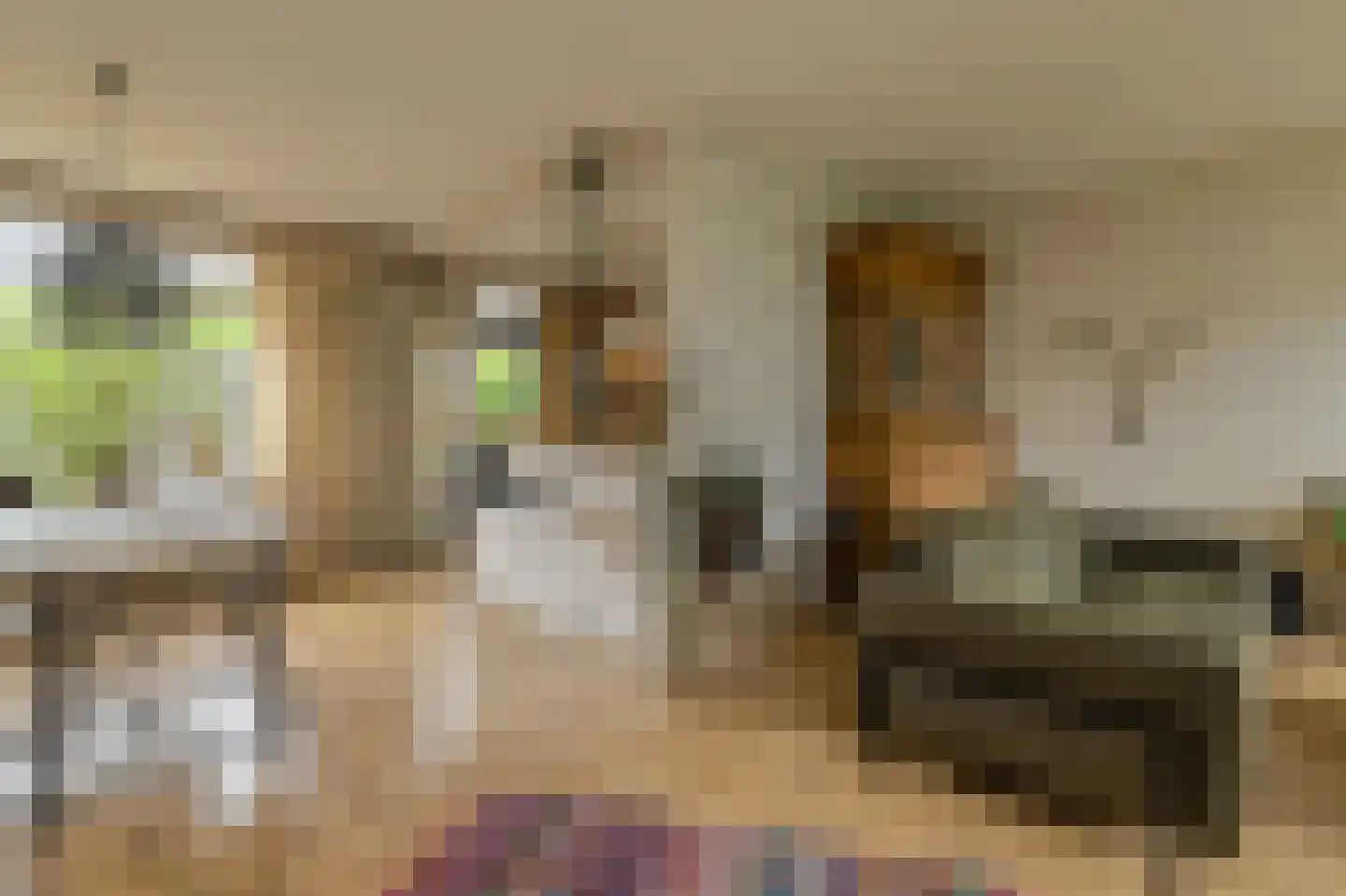 van Colsterstraat 16 Geertruidenberg thumbnail 9