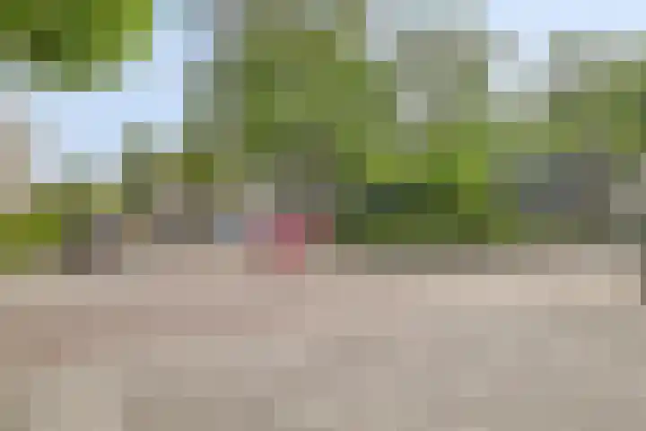 Van Conventstraat 34 Dordrecht thumbnail 31