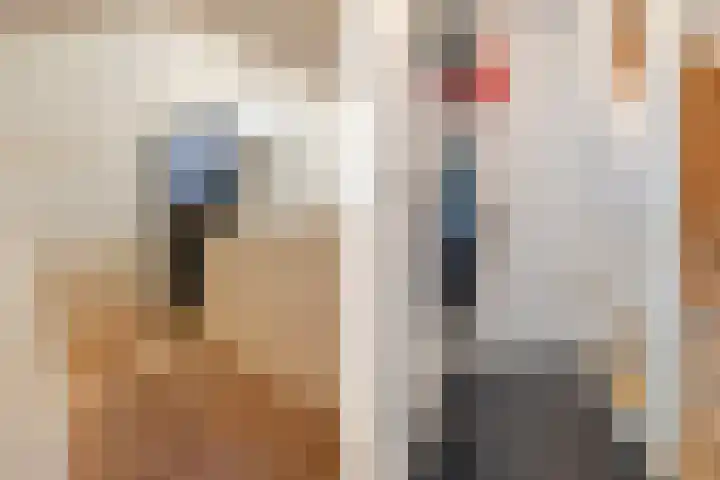 van Coothplein 7 A Breda thumbnail 17
