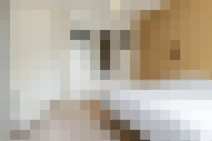 van Coothplein 7 A Breda thumbnail 19