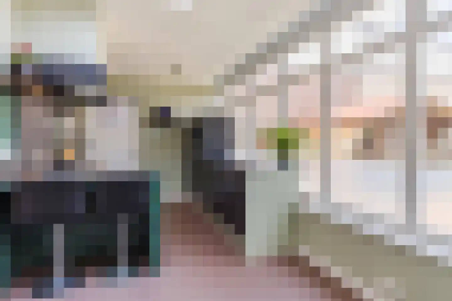 van Coothstraat 1 Boxtel thumbnail 18