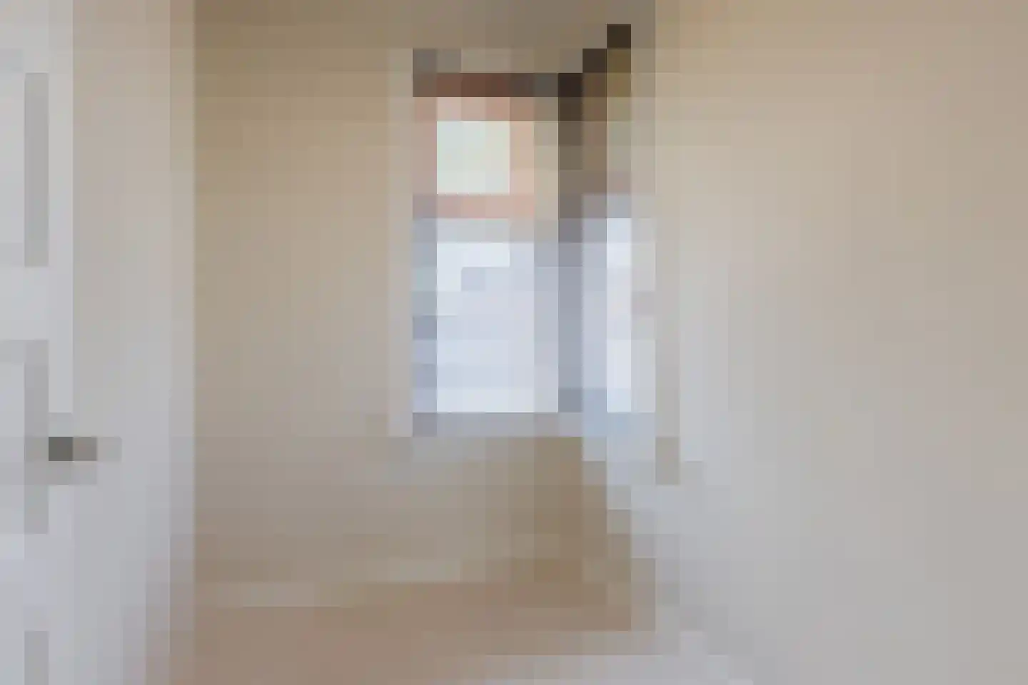 van Coothstraat 1 Boxtel thumbnail 31