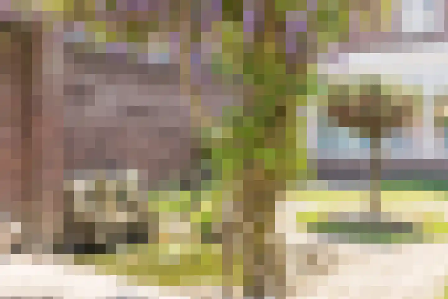 van Coothstraat 1 Boxtel thumbnail 54