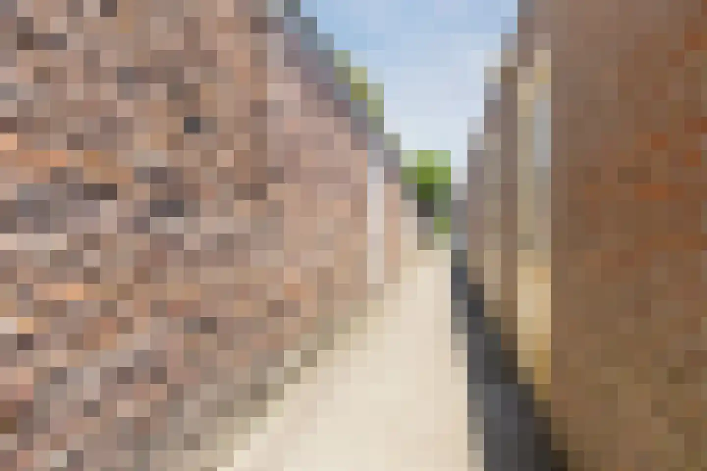 van Coothstraat 1 Boxtel thumbnail 60