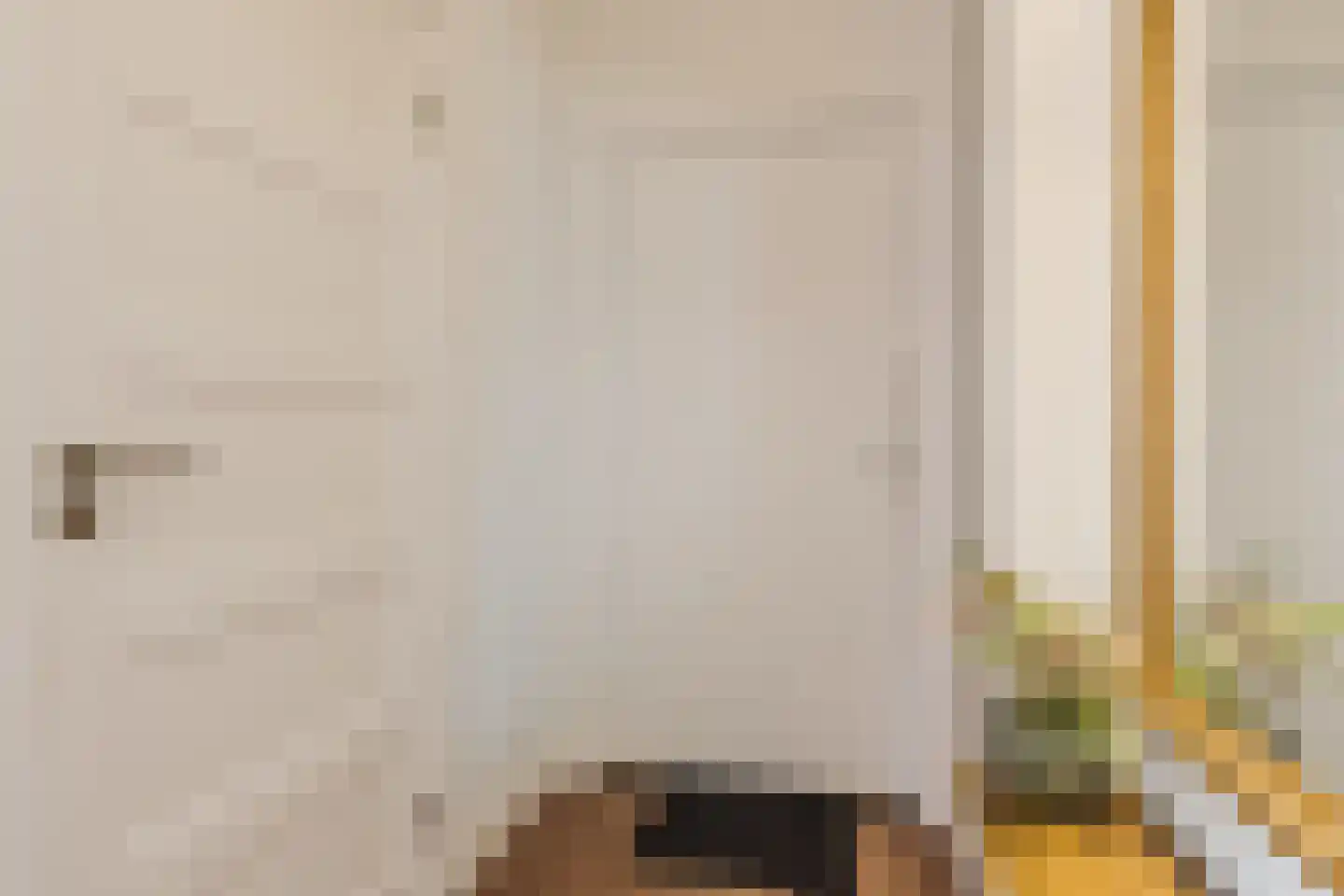 van Coothstraat 1 Boxtel thumbnail 9