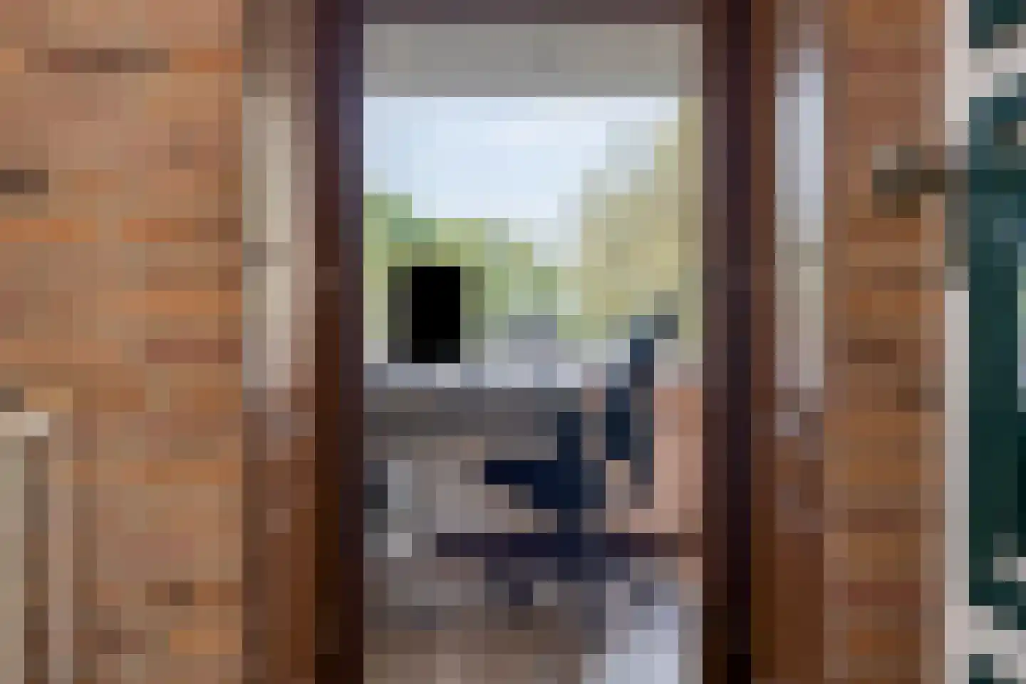 Van Coothstraat 19 Geffen thumbnail 11