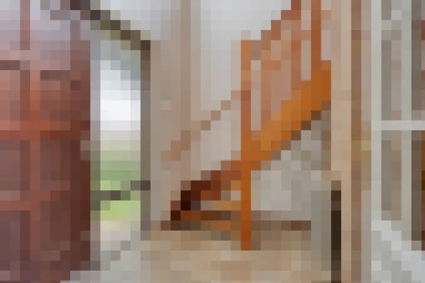 Van Coothstraat 19 Geffen thumbnail 14