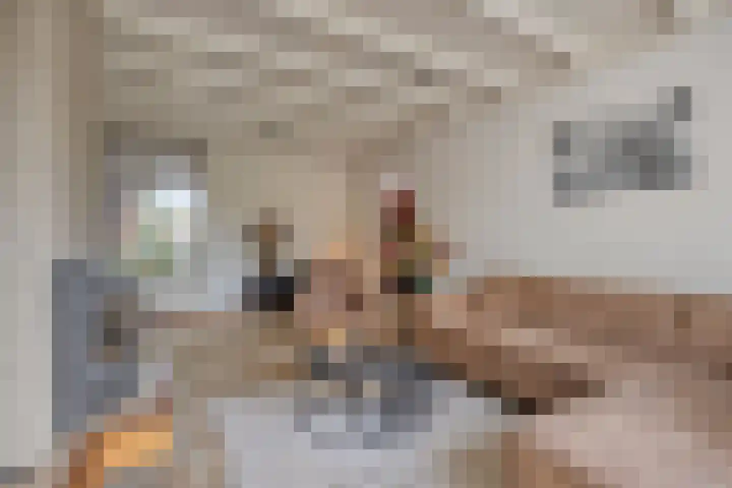 Van Coothstraat 19 Geffen thumbnail 18