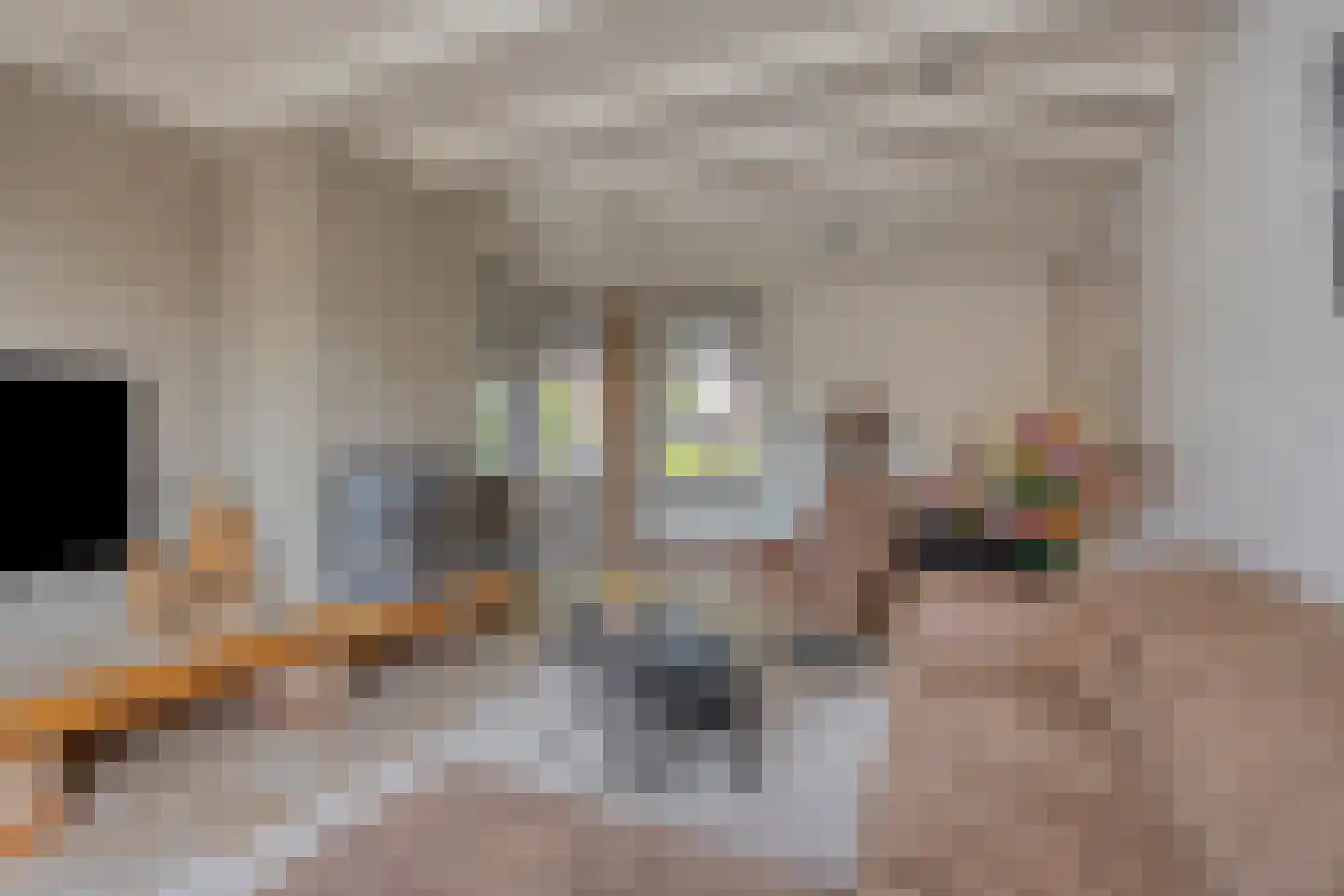 Van Coothstraat 19 Geffen thumbnail 20