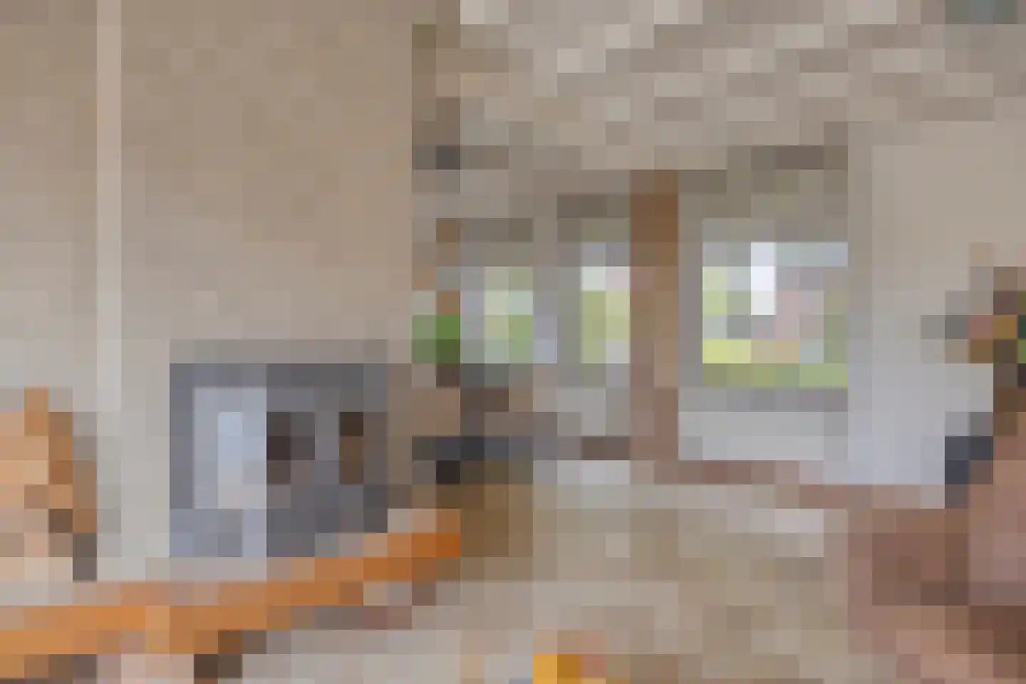 Van Coothstraat 19 Geffen thumbnail 22