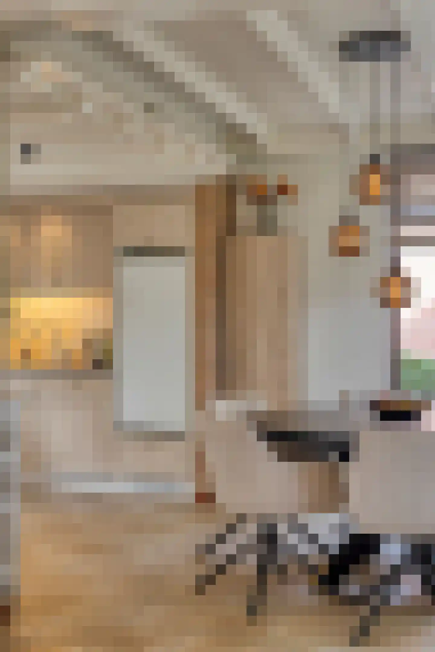 Van Coothstraat 19 Geffen thumbnail 24