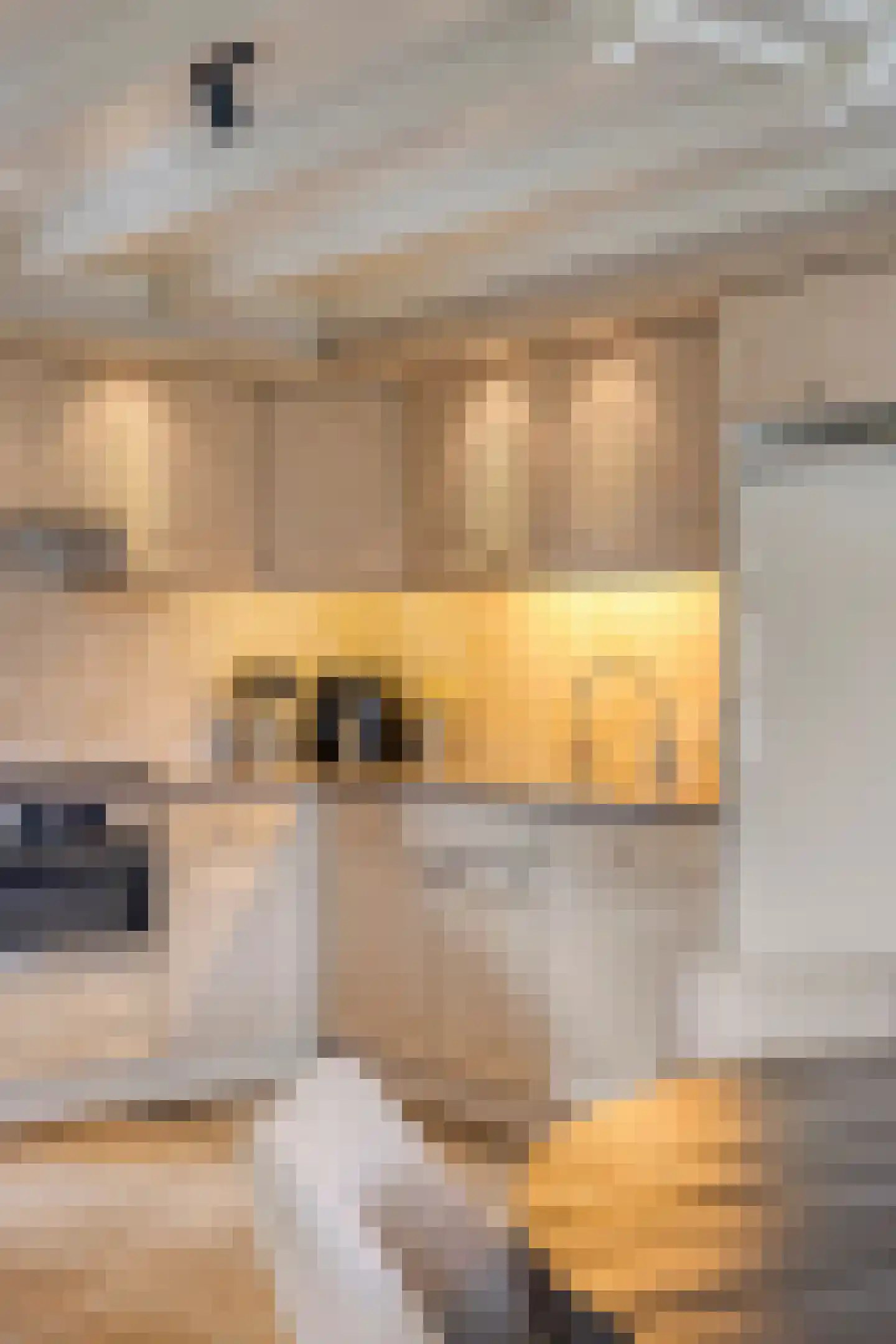 Van Coothstraat 19 Geffen thumbnail 25