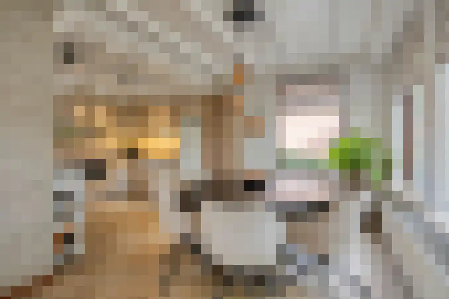 Van Coothstraat 19 Geffen thumbnail 26