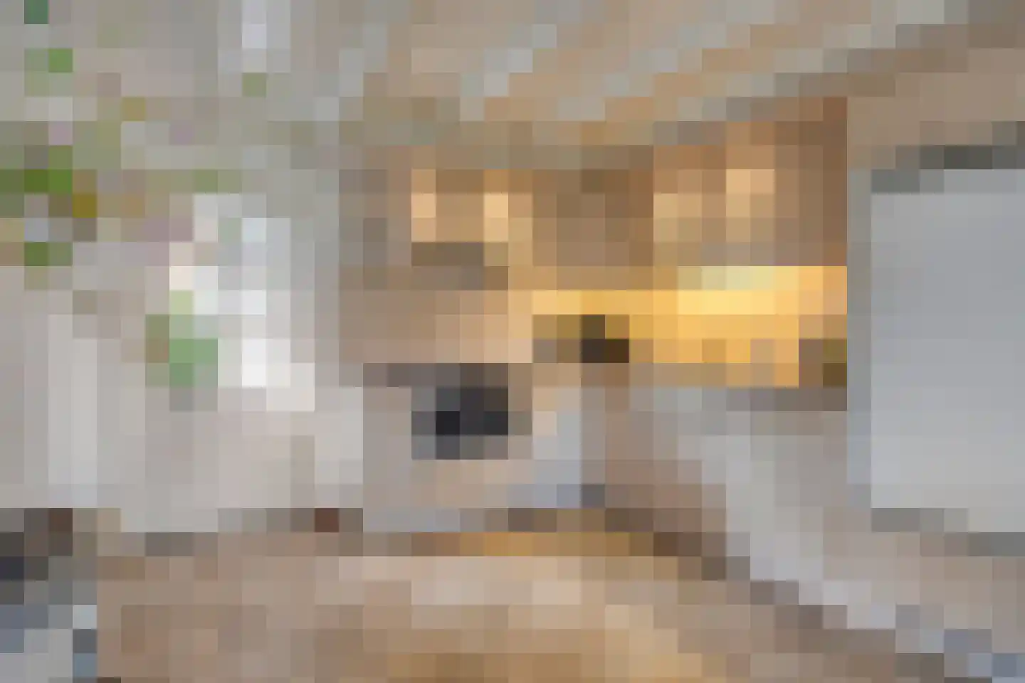 Van Coothstraat 19 Geffen thumbnail 27