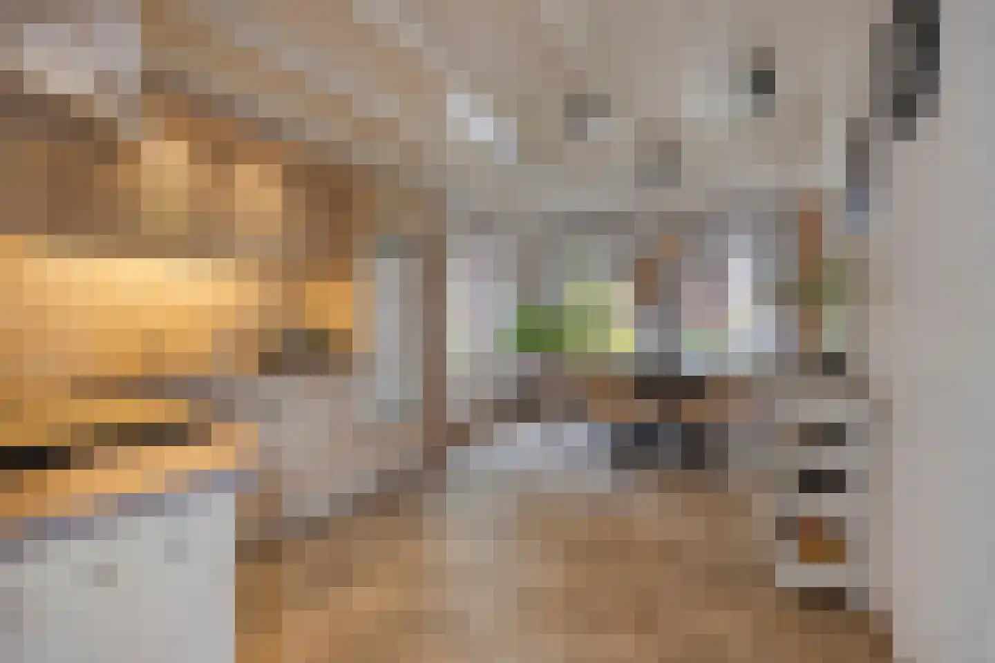 Van Coothstraat 19 Geffen thumbnail 28