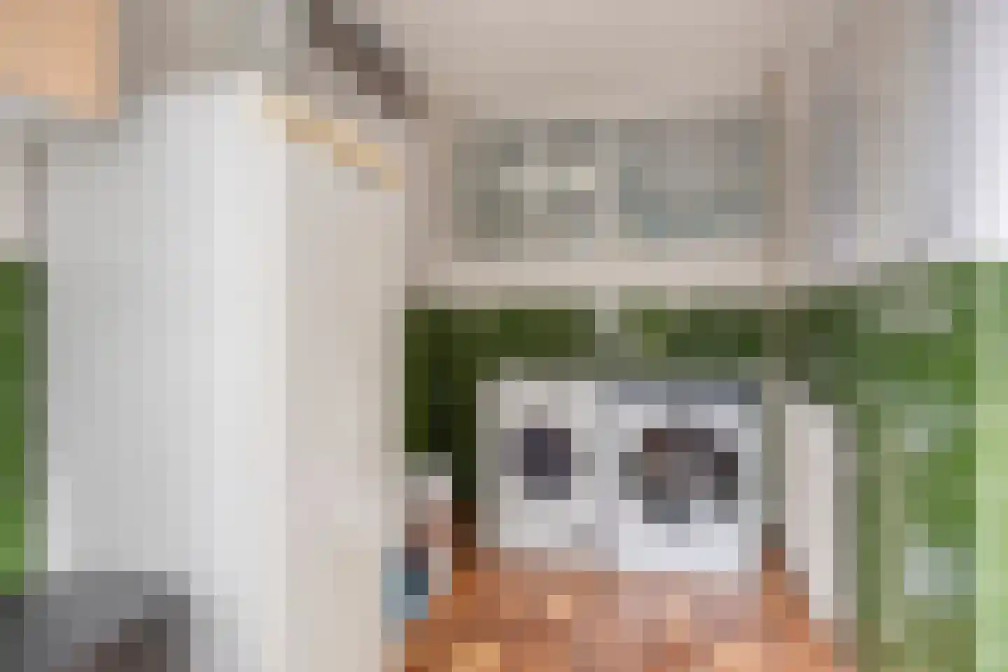 Van Coothstraat 19 Geffen thumbnail 30