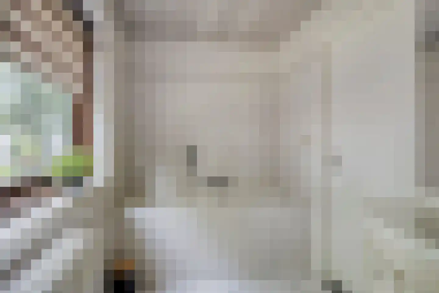 Van Coothstraat 19 Geffen thumbnail 39